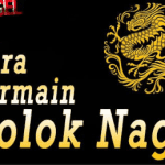 Jenis Permainan Togel